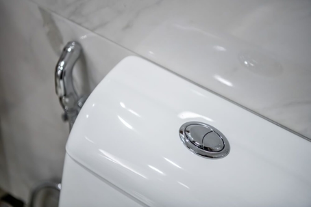Photo of a dual-flush toilet