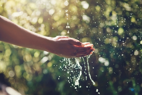 Person holding hands to collect water in backyard during summer
