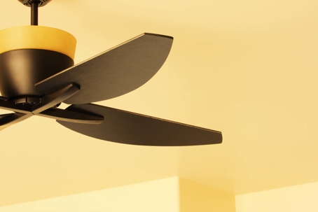 Modern dark wood ceiling fan in home