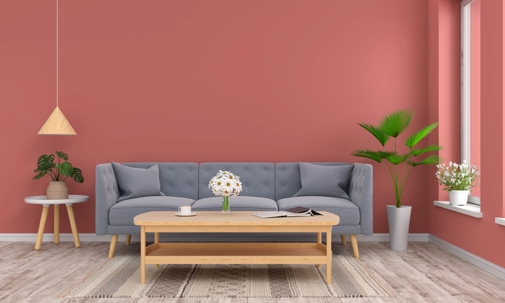 Summer living room with coral walls and a grey couch