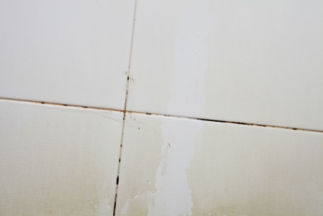 mildewy grout between tiles