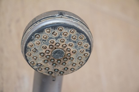showerhead covered in mineral scale