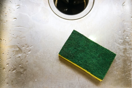 sponge in sink