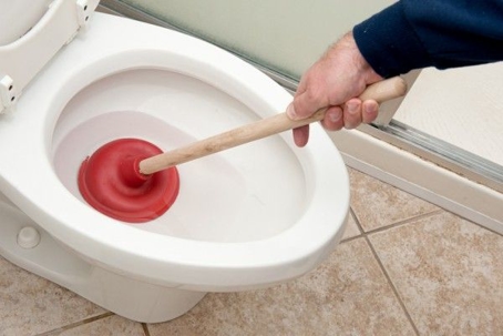 plunger in a toilet