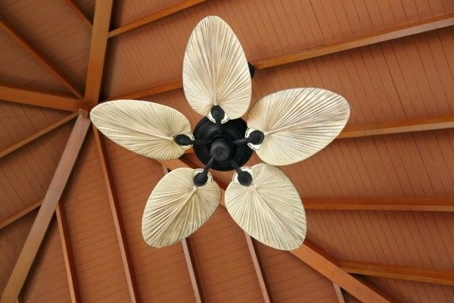 Flower pedal ceiling fan