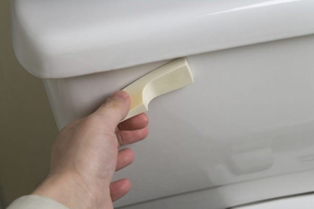 hand flushing toilet