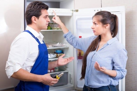 woman talking to refrigerator repairman